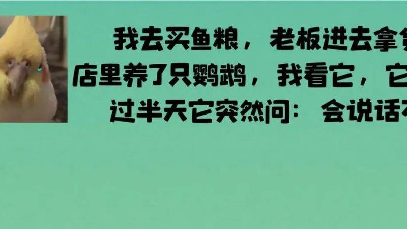 坚果零食批发哪个牌子质量好