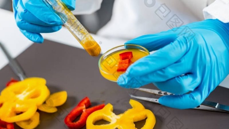狗狗饼干与磨牙棒：揭秘宠物零食的差异化功能